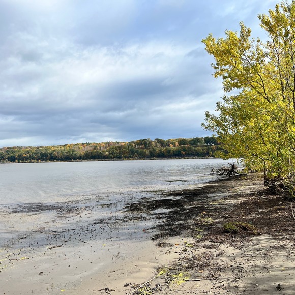 Meet your Posher, Fanny - Picture 1 of 1